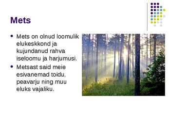 Mets ja haldjad eestlaste maailmapildis #2