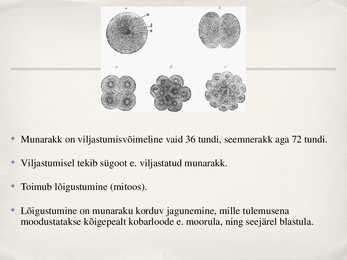 Viljastumine #4