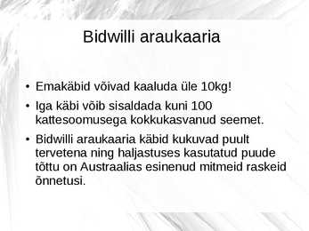 Maailmalõpu taimed #12