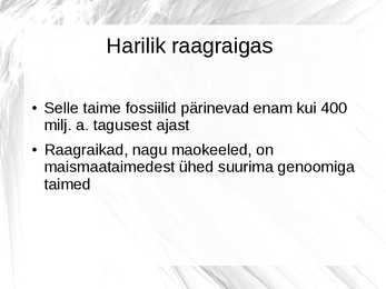 Maailmalõpu taimed #4