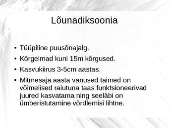 Maailmalõpu taimed #10
