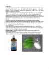 Stevia
