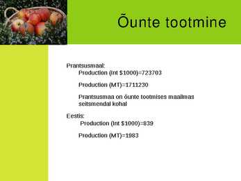 Calvadose tootmine #7