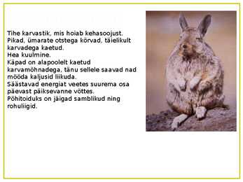 PAMPAD #4