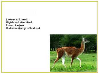 PAMPAD #6