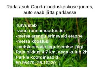 GPS navigeerimine Oandu loodusmetsa rada #2