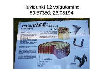 GPS navigeerimine Oandu loodusmetsa rada #11