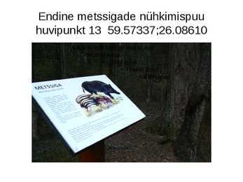 GPS navigeerimine Oandu loodusmetsa rada #13