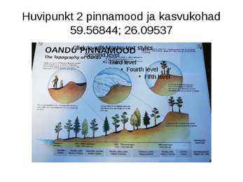 GPS navigeerimine Oandu loodusmetsa rada #4