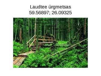 GPS navigeerimine Oandu loodusmetsa rada #5