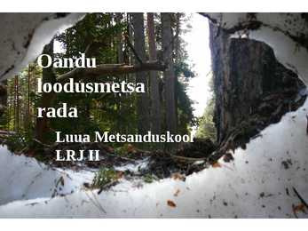 GPS navigeerimine Oandu loodusmetsa rada