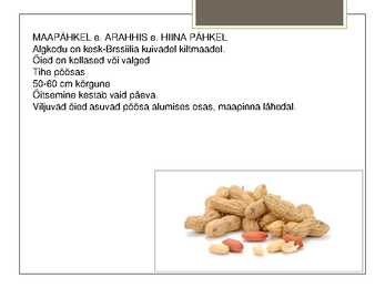 MAAPÄHKEL #2