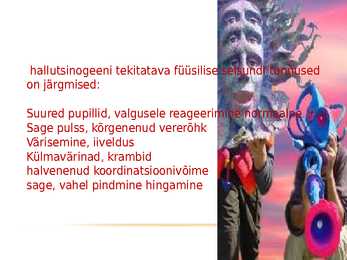 Hallutsinogeenid #8