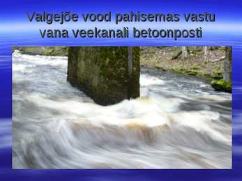Kalarajatised jõgedel 2 #12