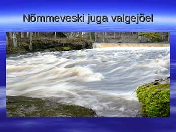 Kalarajatised jõgedel 2 #13