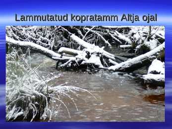 Kalarajatised jõgedel 2 #15