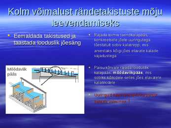 Kalarajatised jõgedel 2 #18