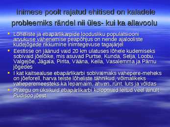 Kalarajatised jõgedel 2 #4