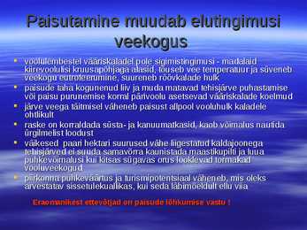 Kalarajatised jõgedel 2 #5