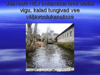 Kalarajatised jõgedel 2 #10