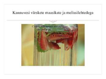 Pulmabankett #6