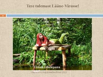 Lääne-Viru majutusasutused #16