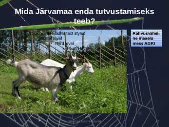 Järvamaa turismiressursid #12