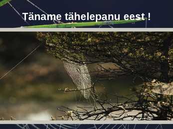 Järvamaa turismiressursid #17
