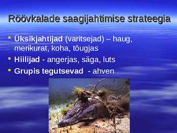 Kalad teiste toidulaual #4
