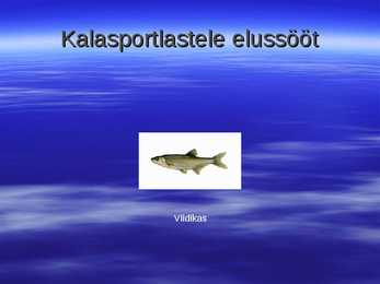 Kalad teiste toidulaual #6