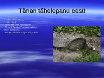 Kalad teiste toidulaual #9