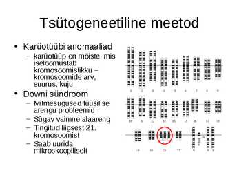 Pärilikkus ja individuaalsed erinevused #7