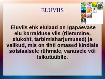 TERVIS #4