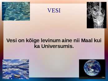 TERVIS #6