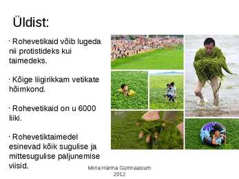 Rohevetikad #2