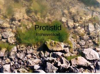 Rohevetikad