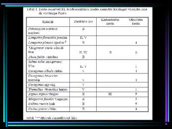 TAASTOOTMISE ÜLDISED PÕHIMÕTTED #4