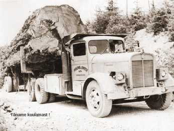 METSASEADUS #11
