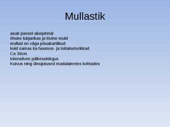Looniidu esitlus #6