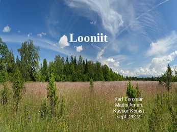 Looniidu esitlus
