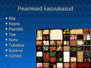 Uurimustöö Sumatra kohta #12