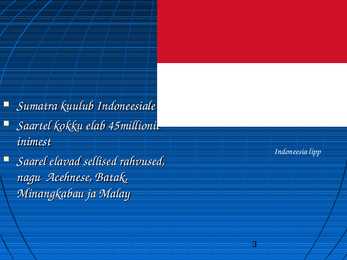Uurimustöö Sumatra kohta #3