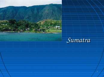 Uurimustöö Sumatra kohta