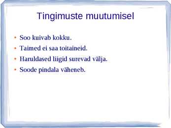 Madalsoo #11