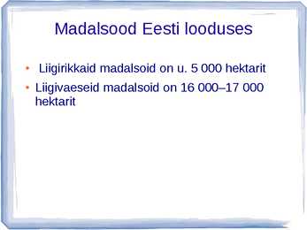 Madalsoo #12