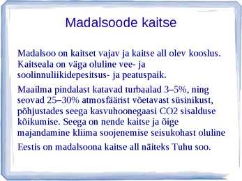 Madalsoo #13