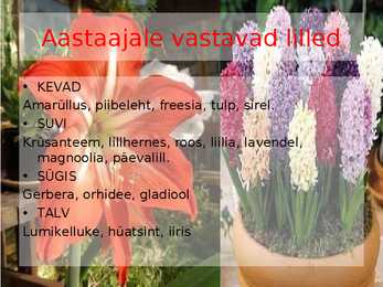 Pulmad - Lilleseade tund #16