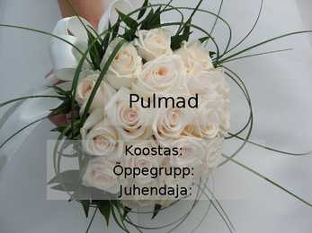 Pulmad - Lilleseade tund