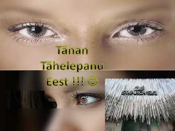 Tööstuskaup Iseseisevtöö - Swarovski kristallid #14