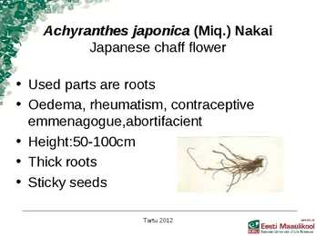 Presentation Medical plants in korea #2